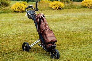 custom golf cart bags